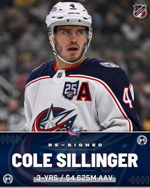 Image post by @puckreportnhl on Instagram