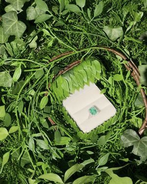 Image post by @innisfreeusa on Instagram