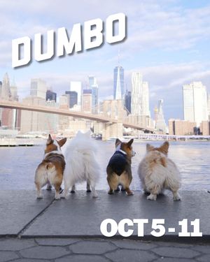 Image post by @dumbo_brooklyn on Instagram