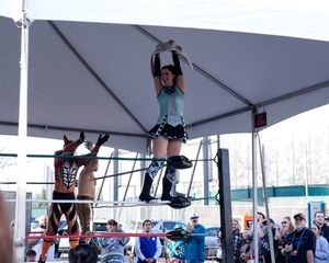 Image post by @sjbarracuda on Twitter