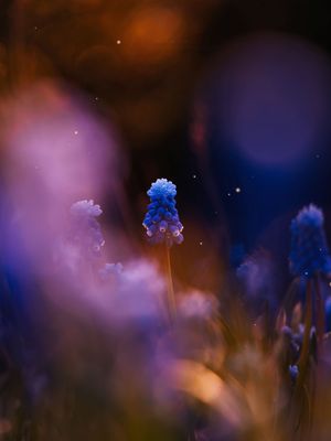 Image post by @lightroom on Instagram