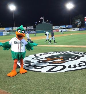 Image post by @gowoodducks on Instagram