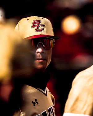 Image post by @BCBirdBall on Twitter