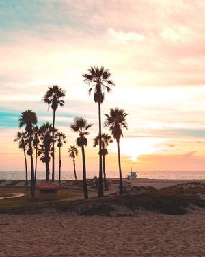 Image post by @canonusa on Instagram