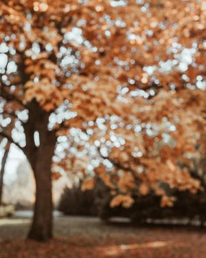 Image post by @kate.simple.life on Instagram