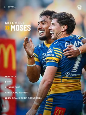 Image post by @theparraeels on Instagram