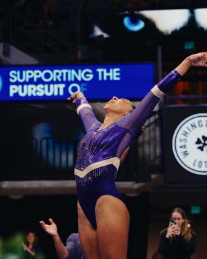 Image post by @uwgymnastics on Instagram