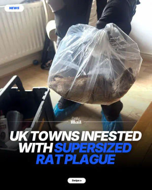 Image post by @dailymailuk on TikTok