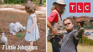 Video post by @tlc on YouTube