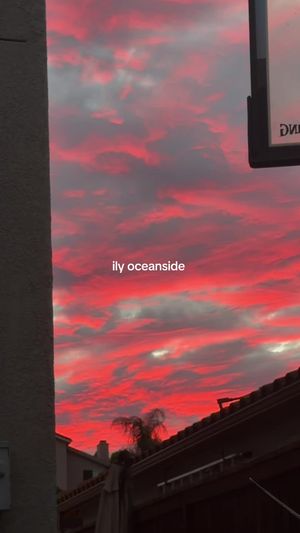 Video post by @chelsearhane on TikTok