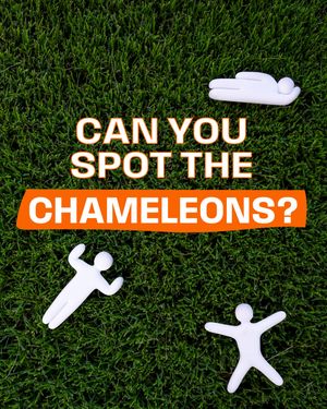 Image post by @okstate on Instagram