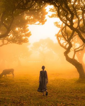 Image post by @faysvision.media on Instagram