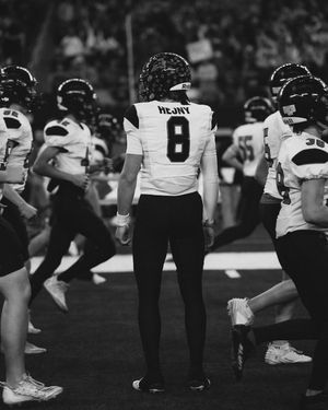 Image post by @hausshejny on Instagram