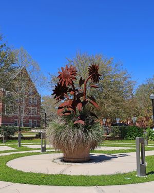 Image post by @floridastateuniversity on Instagram