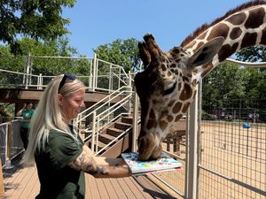 Image post by @denverzoo on Instagram