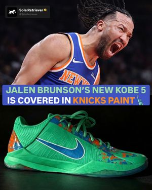 Image post by @soleretriever on Instagram