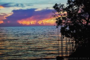 Image post by @soaringpixels on Instagram