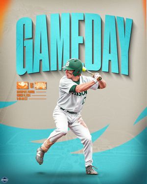 Image post by @babsonbaseball on Instagram