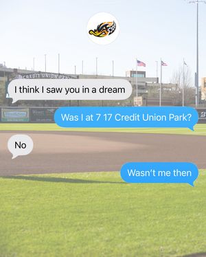 Image post by @akronrubberducks on Instagram