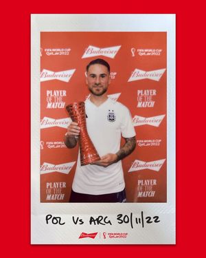 Image post by @fifaworldcup on Instagram