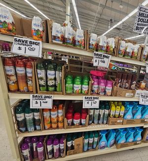 Image post by @biglots on Instagram