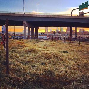 Image post by @nationalwestern on Instagram