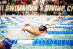 Image post by @harvardwswimdive on Instagram