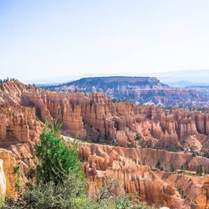 Image post by @_matthewcletus on Instagram