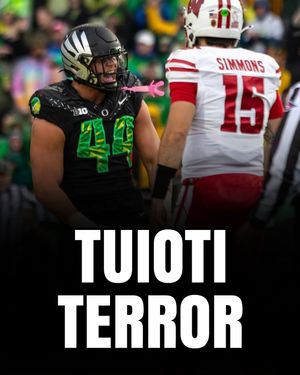 Image post by @ducksology on Instagram