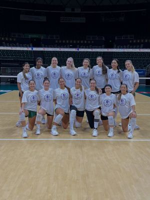 Image post by @hawaiiwvb on Instagram