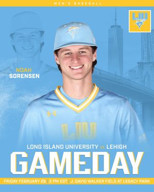 Image post by @liubaseball on Instagram