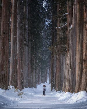 Image post by @fujifilmx_ca on Instagram