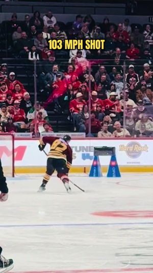 Video post by @chiwolves on TikTok