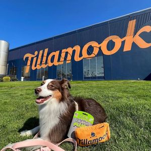 Image post by @Tillamook County Creamery Association on Facebook