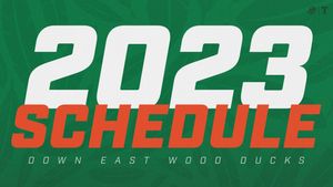 Image post by @GoWoodDucks on Twitter