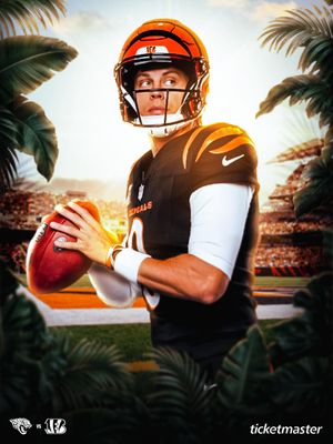 Image post by @bengals on Instagram