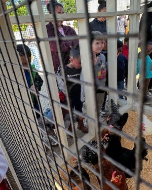Image post by @Palestine Independent School District on Facebook