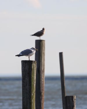 Image post by @ammedia_llc on Instagram