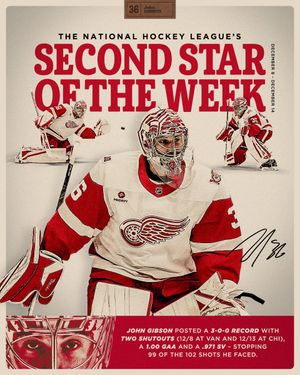 Image post by @DetroitRedWings on Twitter