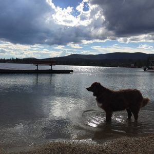 Image post by @drsquatch on Instagram