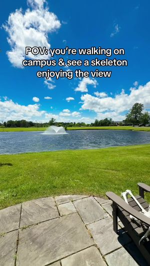 Video post by @thenortheastcollege on TikTok