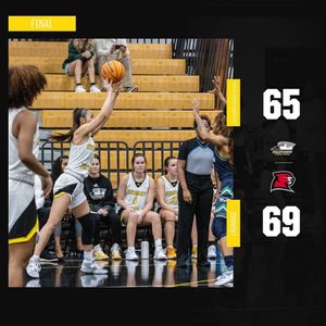 Image post by @gopetrelswbb on Instagram