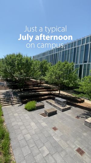 Video post by @kstateofficial on TikTok