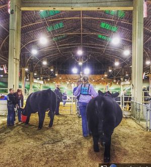 Image post by @nationalwestern on Instagram