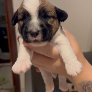 Image post by @olgapretti on Instagram