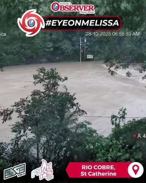 Image post by @jamaicaobserver on Instagram