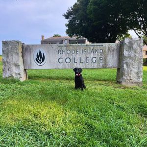 Image post by @rhodeislandcollege on Instagram