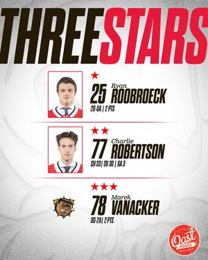 Image post by @ohlicedogs on Instagram