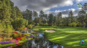Image post by @cologolf on Instagram