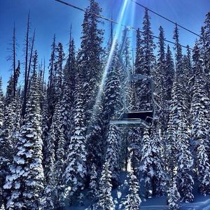 Image post by @beavercreek on Instagram
